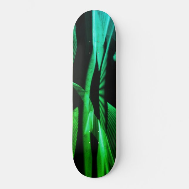 Time warp skateboard (Front)