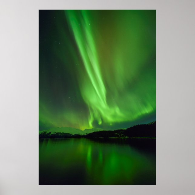 Timeless Aurora Poster (Front)