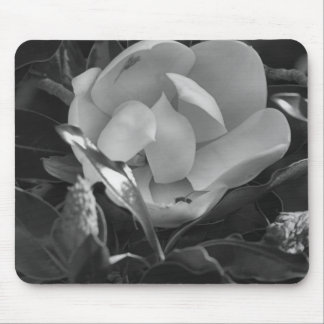 Timeless Magnolia Mouse Mat