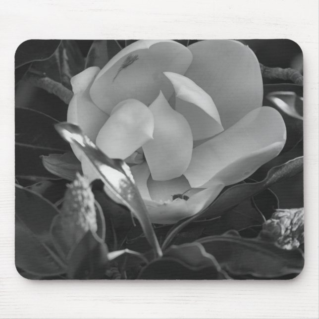 Timeless Magnolia Mouse Mat (Front)