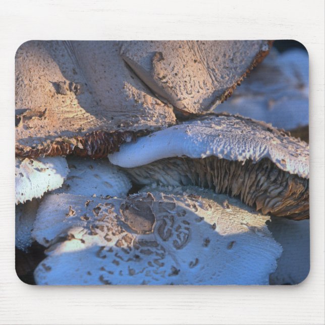 Timeless Magnolia Mouse Mat (Front)