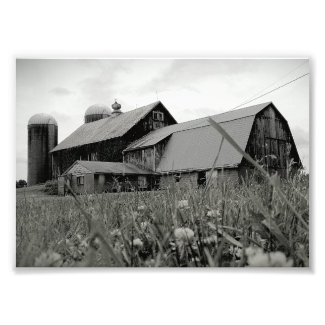 Timeless Photo Print (Front)