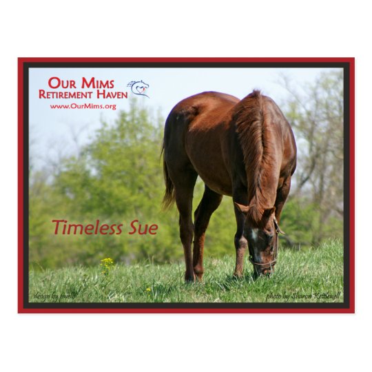 Timeless Sue Postcard