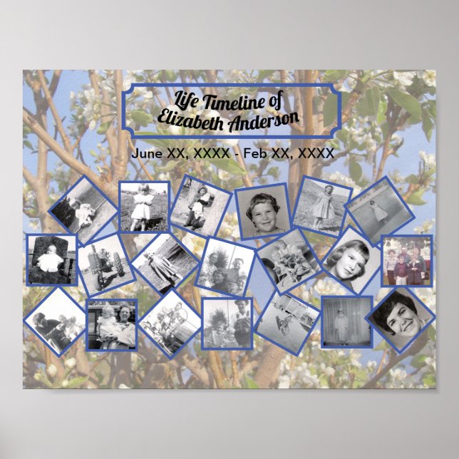 Timeline Photo Collage on White Blossom Tree Poster (Front)