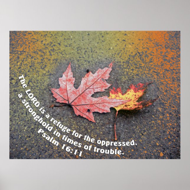 Times of Trouble Poster (Front)