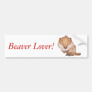 Timid Beaver Bumper Sticker