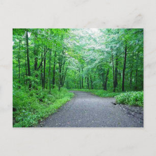 Timms Hill Park, Wisconsin Nature Postcard