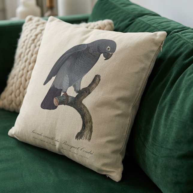 Timneh African Grey Parrot, Psittacus Timneh Cushion (Timneh African Grey Parrot, Psittacus Timneh. Throw Pillow)