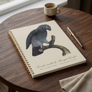 Timneh African Grey Parrot, Psittacus Timneh Planner