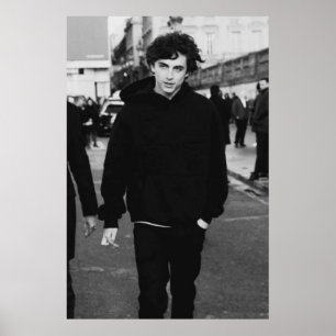 timothee chalamet walking poster