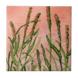 Timothy grass hay close up ceramic tile. tile