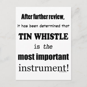 Tin Whistle Most Important Instrument Postcard