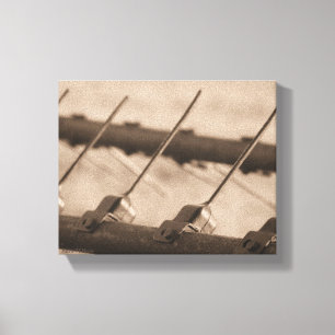 Tine to Rake in Sepia Canvas Print