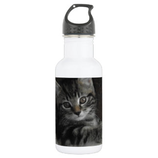 Tinker Kitten 532 Ml Water Bottle