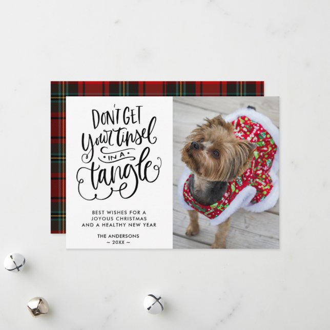 Tinsel in a Tangle Funny Dog Pet Photo Christmas Holiday Card (Front/Back In Situ)