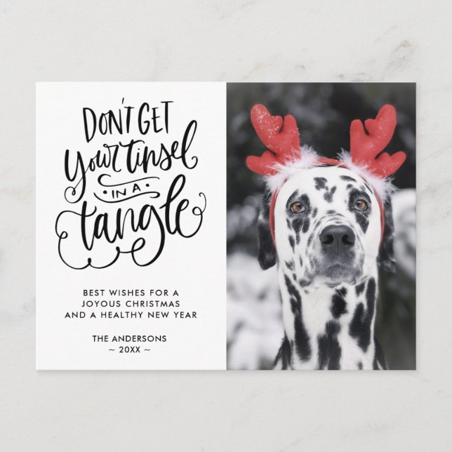 Tinsel in a Tangle Funny Dog Photo Christmas Holiday Postcard (Front)