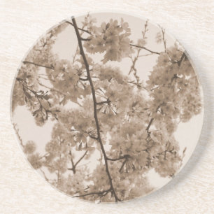 Tinted 'Cherry Blossoms' Coaster