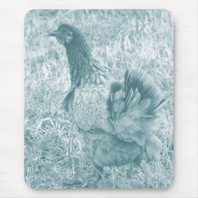 Tinted Hen Mouse Mat (Front)
