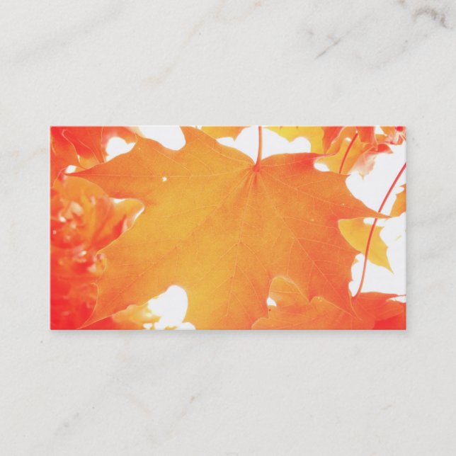 Tinted Orange Maple Leaf Business Card (Front)
