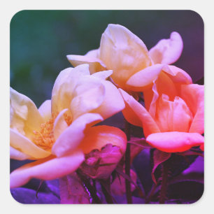 Tinted Rosebuds Floral Square Sticker