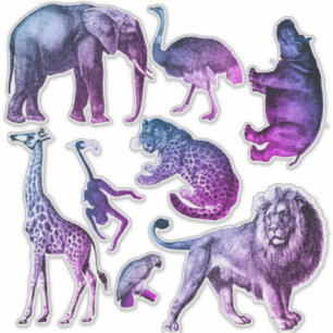 Tinted Zoo Animals Sticker Set