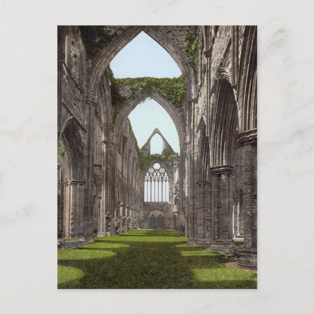 Tintern Abbey, Wales Postcard (Front)