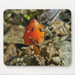 Tiny Amberina Cone Cap Mushroom Mousepad
