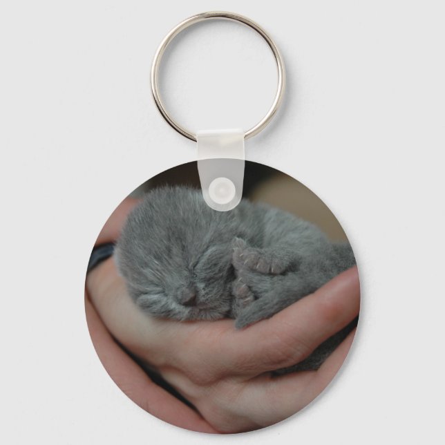 Tiny Baby Blue Kitten Key Ring (Front)