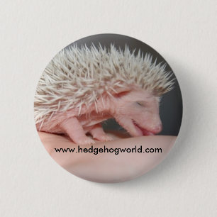 Tiny baby button