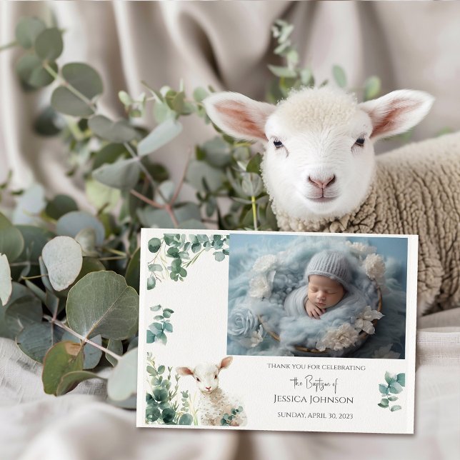 Tiny Baby Lamb and Eucalyptus baptism  Thank You Card (Creator Uploaded)