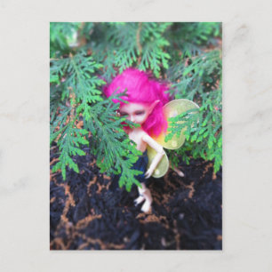 Tiny Bear Bracken, Asian Ball-Jointed Doll Postcard