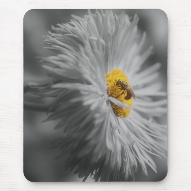 Tiny Bee On Flower Close Up Black White Mousepad (Front)