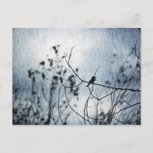 Tiny Bird Silhouette Postcard