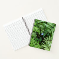 Tiny Blue Flower and Ostrich Fern Floral