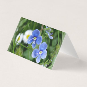 tiny blue flowers