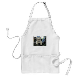 Tiny Cat Face Apron