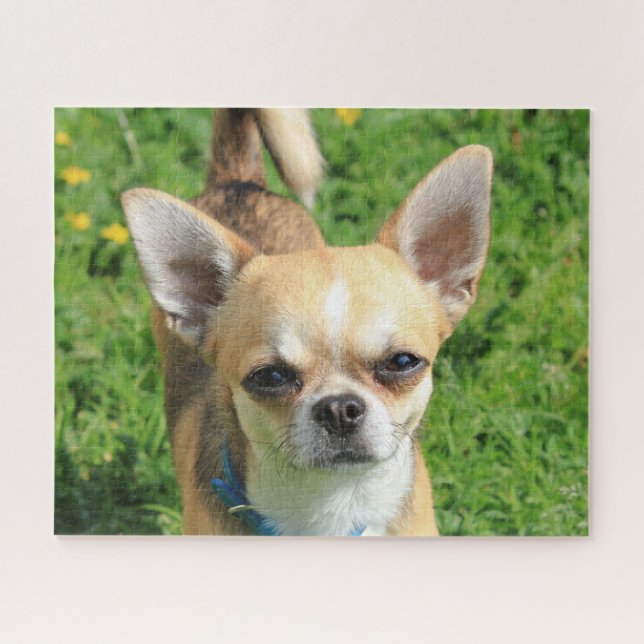 Tiny Chihuahua Puppy Dog Jigsaw Puzzle (Horizontal)