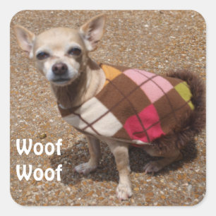Tiny Chihuahua Says Woof Woof Square Sticker