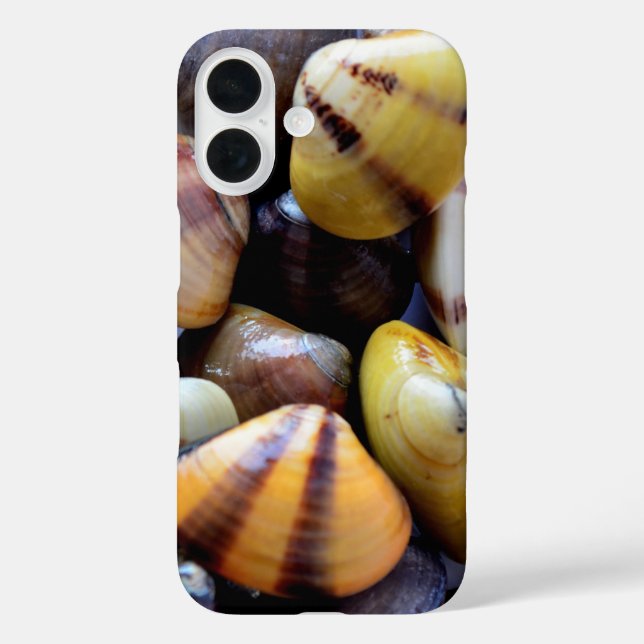 Tiny Colourful Clam Shells Case-Mate iPhone Case (Back)