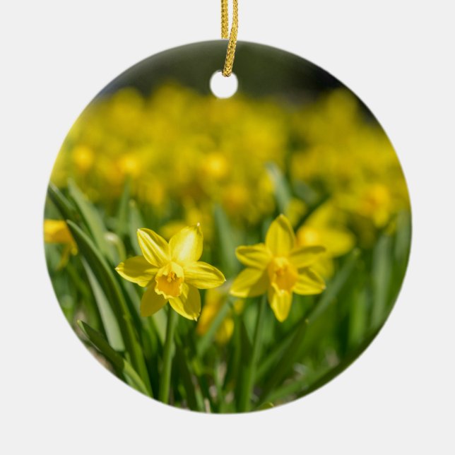 Tiny Daffodils Ceramic Tree Decoration (Front)