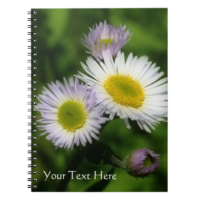 Tiny Daisies Fleabane Flower Nature Notebook (Front)