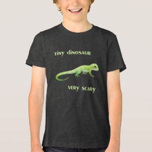 Tiny Dinosaur, Very Scary Tri-Blend Shirt