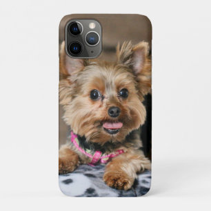 Tiny Dynamo  iPhone 11 Pro Case