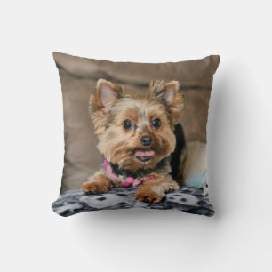 Tiny dynamo cushion