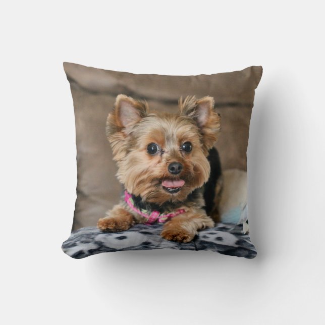 Tiny dynamo cushion (Front)
