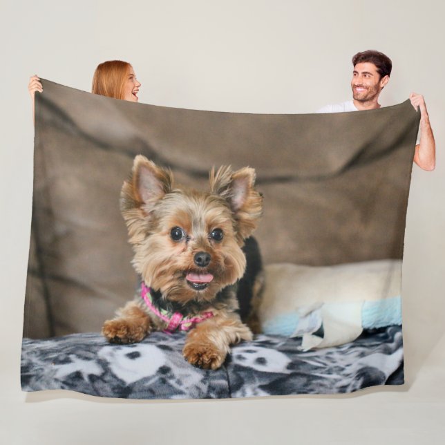 Tiny dynamo fleece blanket (In Situ)