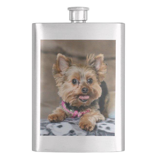 Tiny dynamo hip flask (Front)