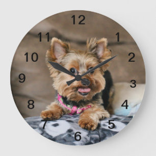 Tiny dynamo large clock