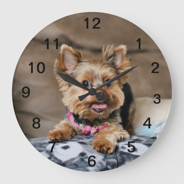 Tiny dynamo  large clock (Front)