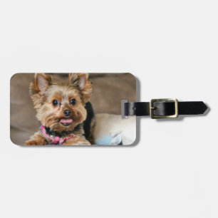 Tiny dynamo luggage tag